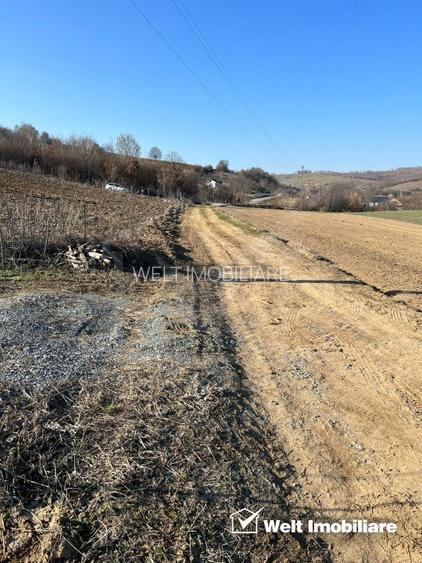 Teren extravilan cu gradina in Saliste - 5