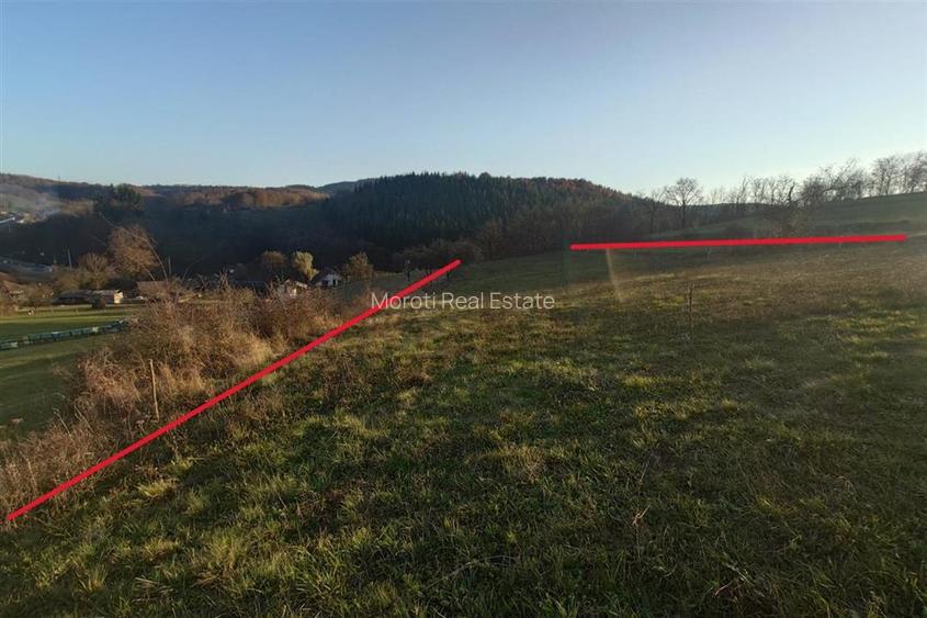 Terenuri extravilane in Luncoiu de Sus, Hunedoara - 7
