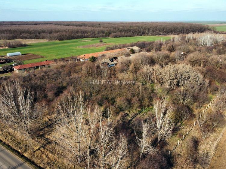 Ferma si livada de meri in judetul Ilfov - 20