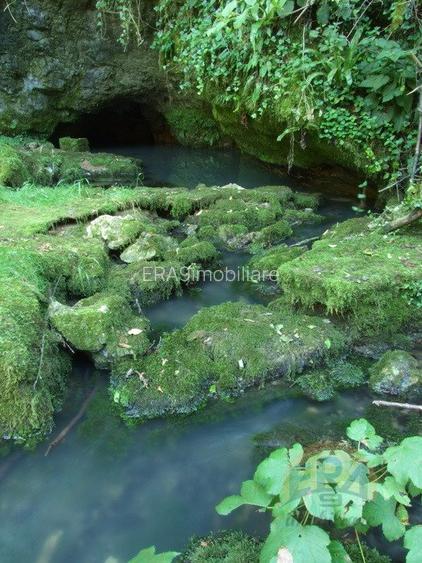 Proprietate de vacanta, pensiune si pastravarie - 2