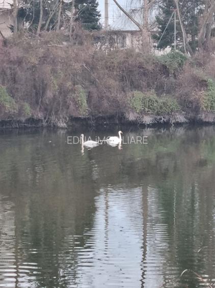 Casă contemporană între natură și oraș – Chitila - 4