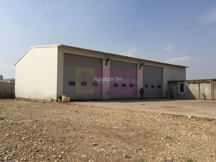 Hala Soseaua Bucuresti- Magurele- planul 2. - 2