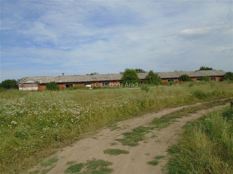 Pentru DEZVOLTATORI si INVESTITORI! Teren intravilan, 15.000 mp, Micalaca - 6