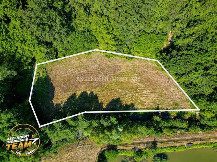 FILM! Teren extravilan pe 2.737mp,zona pretioasa,acces facil,Dobarlau,Covasna - 4