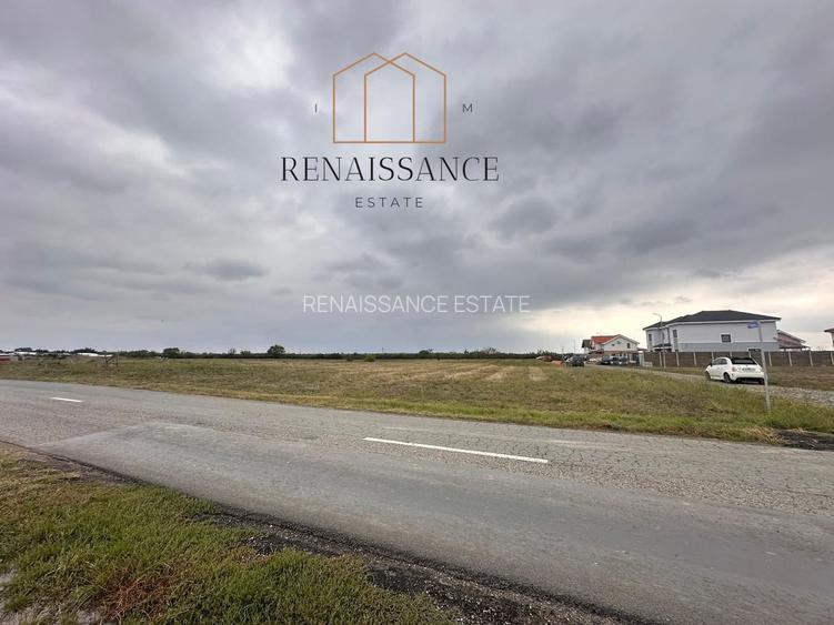 Mosnita Noua Teren 10.000mp | Front 63m | La asfalt - Zona de Case - 2