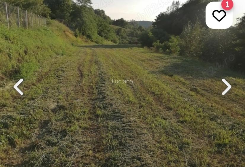 Casă și teren de vânzare  - 2