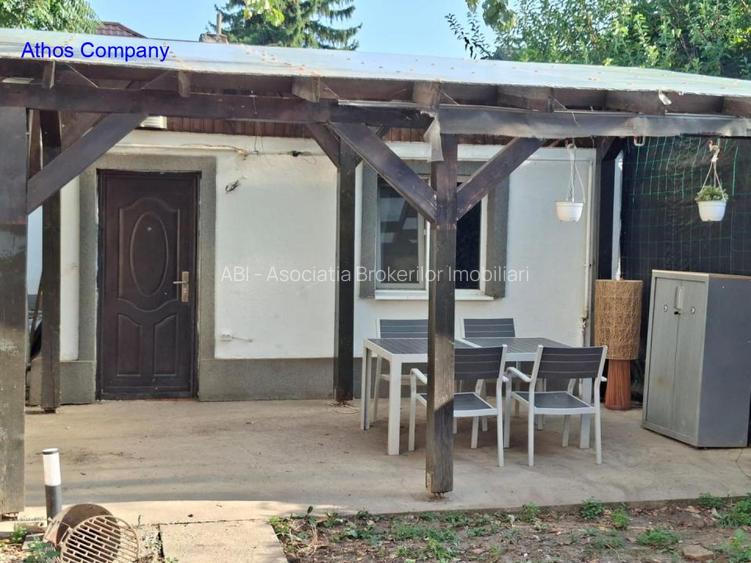 Bdul Ion Mihalache- Pta Chibrit - 5