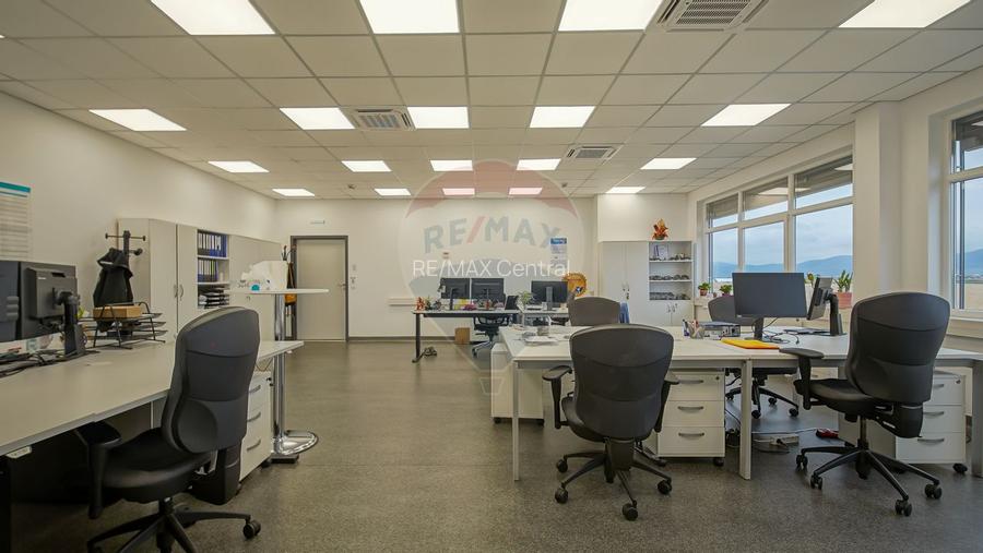 Hală industrială 5.000–12.000 mp de închiriat, Ghimbav - 24