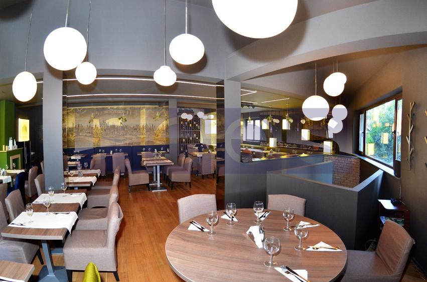 OPORTUNITATE VANZARE - INCHIRIERE VILA RESTAURANT | GRADINA ICOANEI | - 3