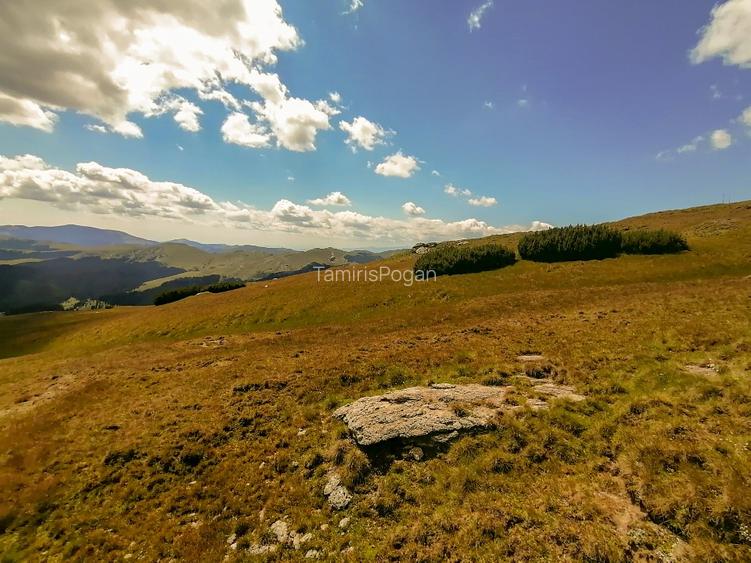 terenuri in Bucegi, Zona Alpina Inalta, pentru dezvoltare cabane, vile turistice - 13