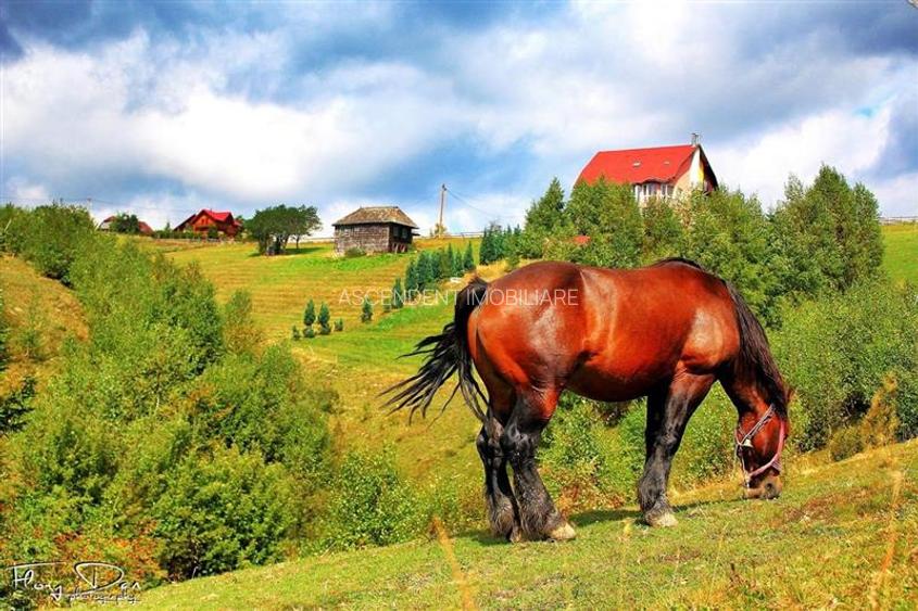 Resedinta/ pensiune,  cu 1.000 mp teren, Pestera, Brasov - 14