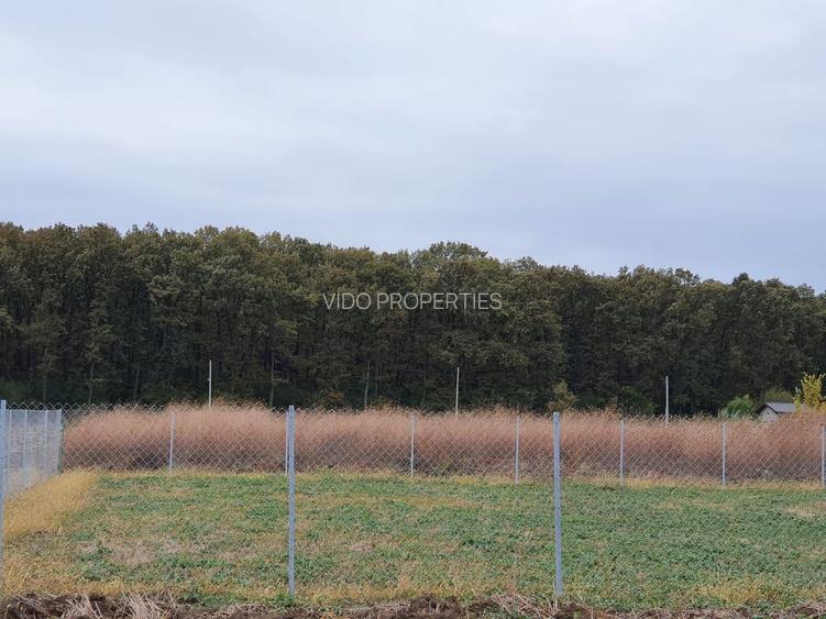 TEREN CONSTRUCTII-INTRAVILLAN-SUPERB-SNAGOV-PADURE-UTILITATI-PROIECT - 4