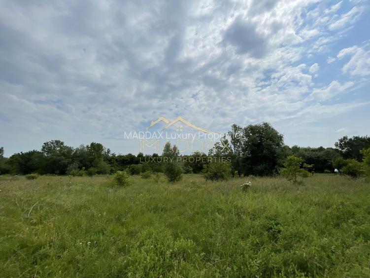 Teren intravilan***1439 mp***Cretesti-Vidra-Ilfov - 12