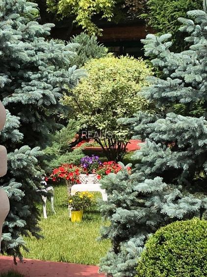 PROPRIETATE CU ENERGIE PURA |  Sanctuarul Eleganței și Rafinamentului - 21