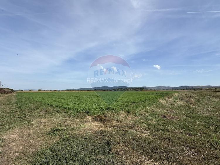 Teren Investitii 2.5 Ha | Zona Tetarom III Rascruci - 5