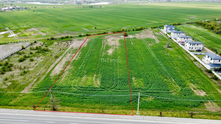 Teren Intravilan 25000mp Balotesti, Ion Lahovari, toate utilitatile, 41mp desc - 3