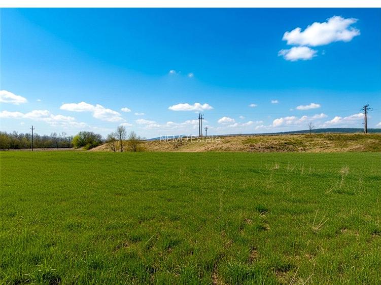 Teren 12.400 MP | 180 ml deschidere E85 | Pătrăuți | 70.000€ - 2