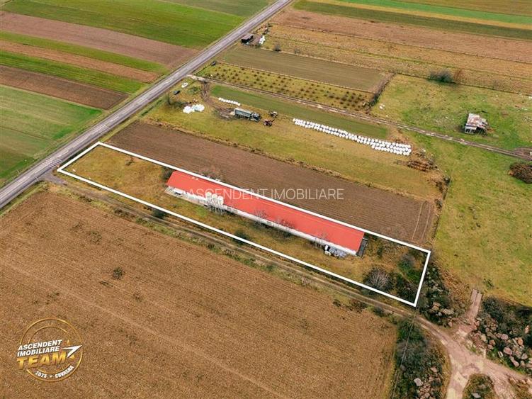 FILM! Ferma de iepuri,Malnas,Covasna: domeniu:industrial/comercial,asset UE - 15