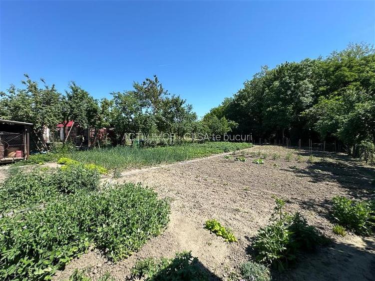 Casa Cocheta, Locuibila imediat,  cu Gradina si Curte,1500mp., Com.Birda. - 26