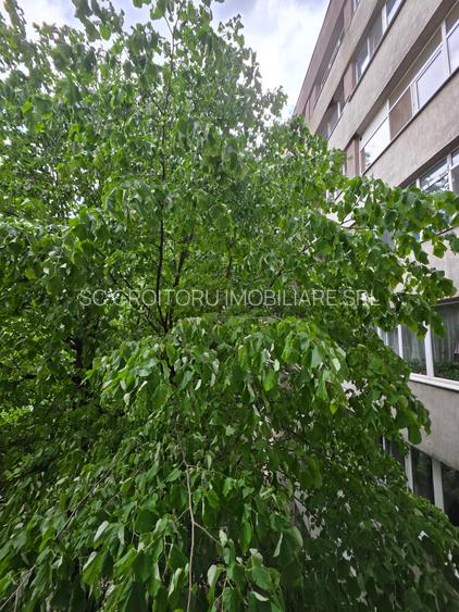 Giulesti - Apartament 2 camere decomandat –mobilat si utilat ! - 19