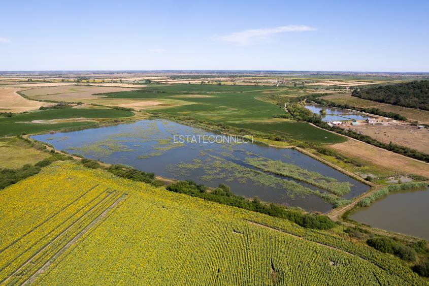 Pescarie/zona de agrement 66.500 mp - Ineu Comision 0% - 2