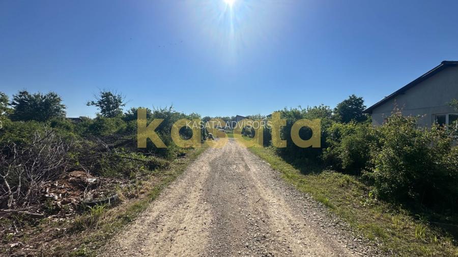 OPORTUNITATE | TEREN | SNAGOV TANCABESTI | CASA | 1000 MP | INVESTITIE - 2