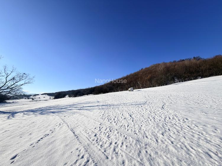 Teren de vanzare pentru investitie - 7