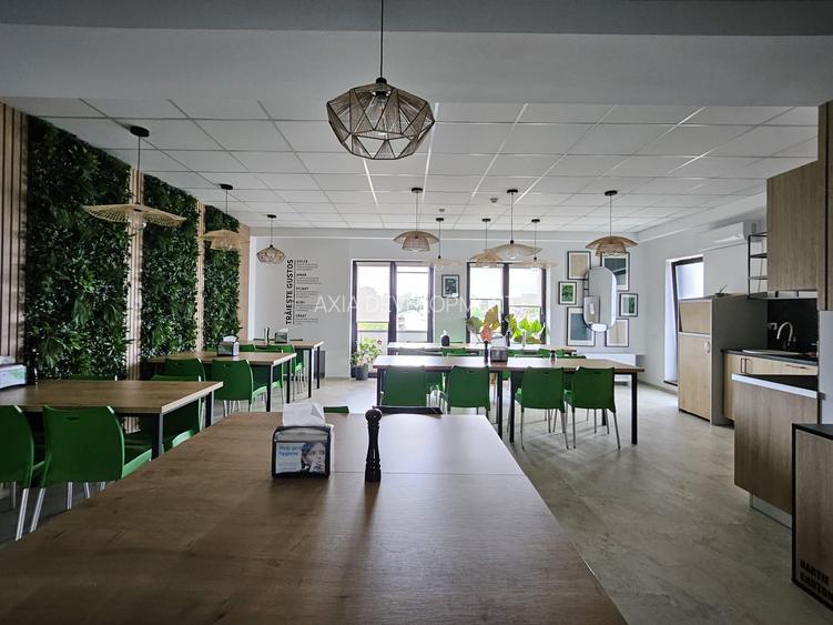 Cladire individuala - 20 locuri de parcare- Gradina Icoanei - 2