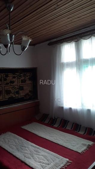 Casă locuibilă cu 1400 mp teren, vie pe rod și livadă – aproape DN3 – Ștefănești - 7