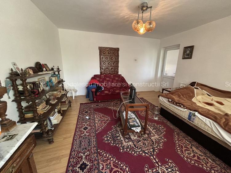 Casa cu 2 apartamente zona Mehala - 6