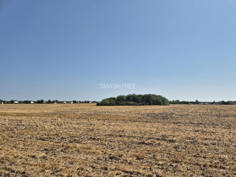 Teren intravilan 4428 mp - Balotesti - 2