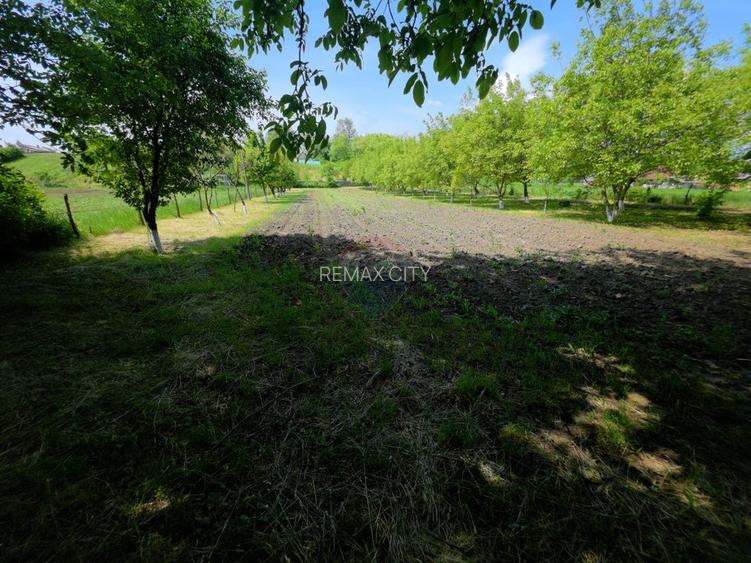 Teren intravilan 4,516mp Doina - 23