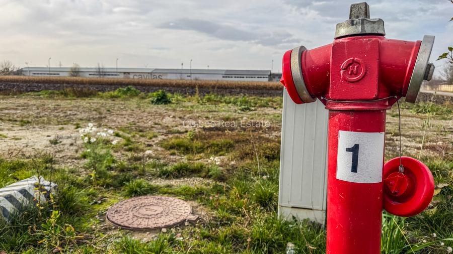 Teren industrial, intravilan, cu utilitati, Stupini, 11.600 mp - 10