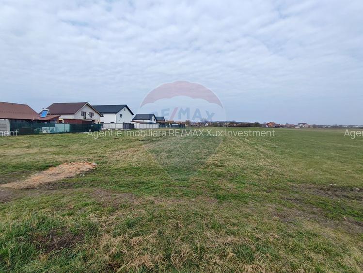 Teren de vânzare – 1600 mp – Șura Mică - 5