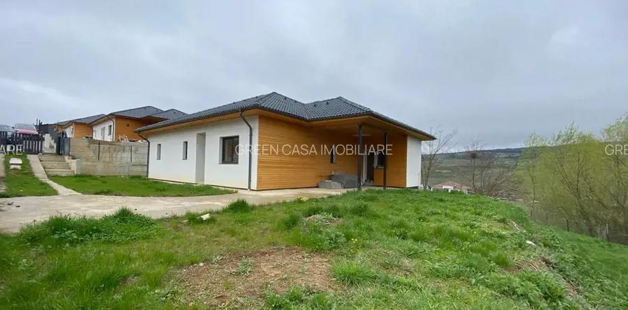Casă unifamilială individuală pe un nivel - Corușu - 6