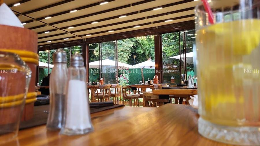Spatiu comercial de vanzare pentru restaurant | Parcul Herastrau - 5