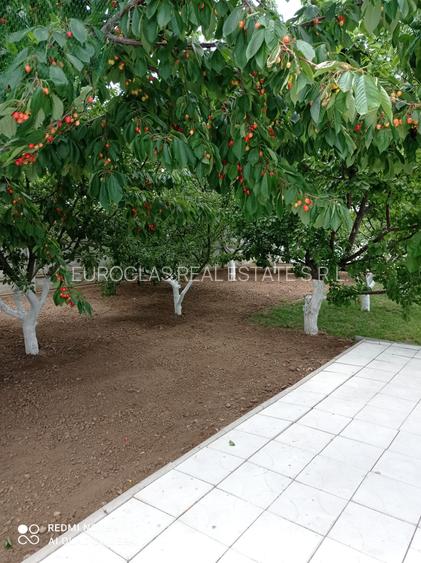 Casa 5 camere - Corbu - 115.000 euro (Cod E2+E7) - 6