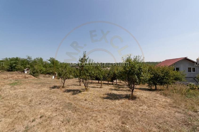 Casa Podul Broșteni- Arges! - 11