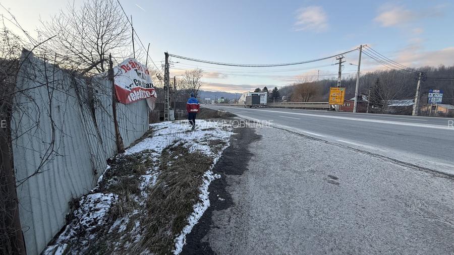 Teren intravilan construcții 10834 mp + construcție- cabană lemn! - 16