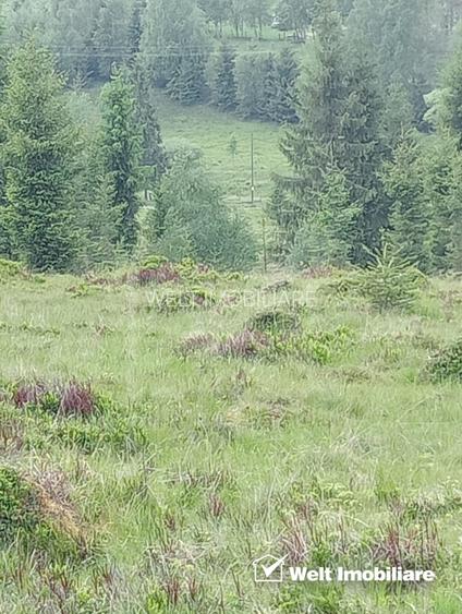 Vanzare Teren – Risca, Comuna Belis - 3