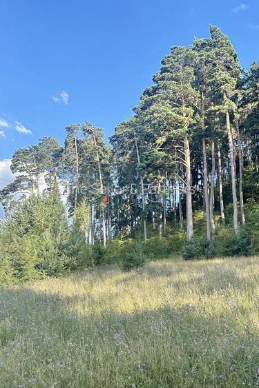 Teren zona Livezii - 6