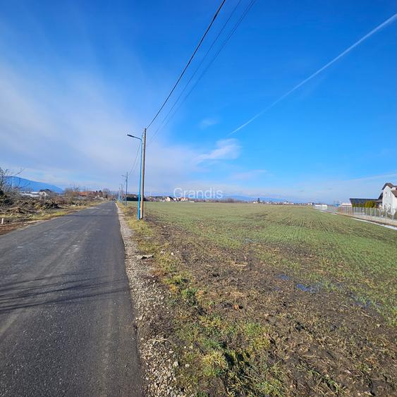 Teren intravilan - Str. Morarului, ideal pentru ansamblu rezidential - 6