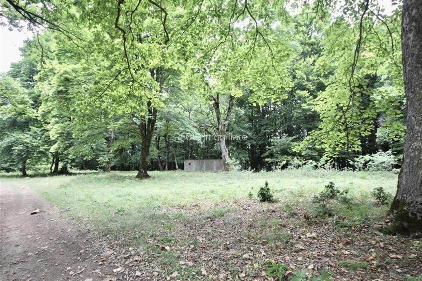 Teren de vanzare 4713 mp investitie | Poiana Brasov - 5