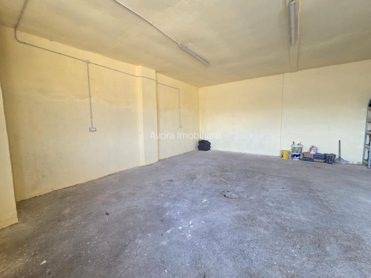 Dudestii Noi, Hala, Disponibila imediat - 5