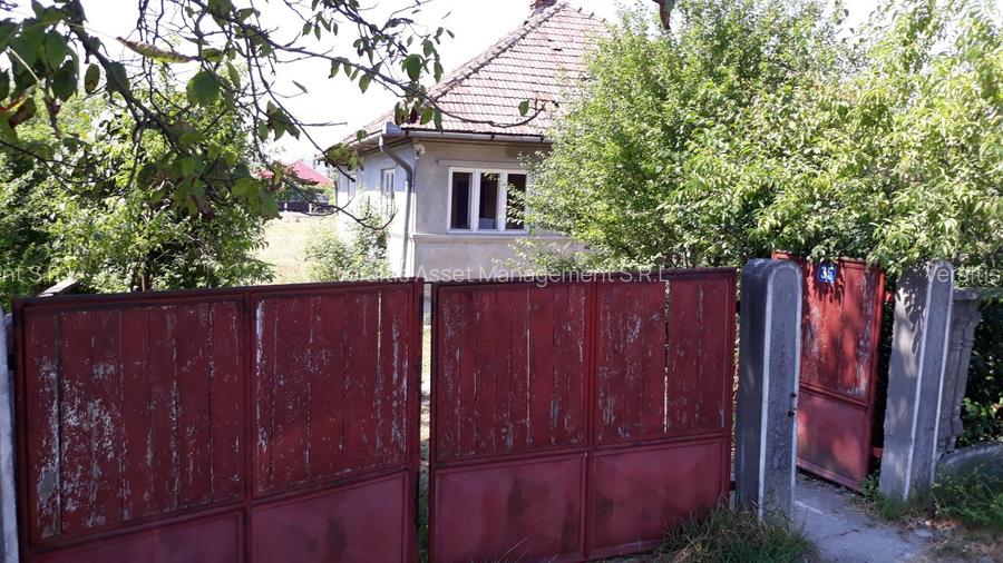Teren intravilan casa si anexe Loc. Babeni, jud Salaj (licitatie) - 2