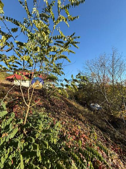 Teren intravilan 1543 mp – zona Darmanesti - 8