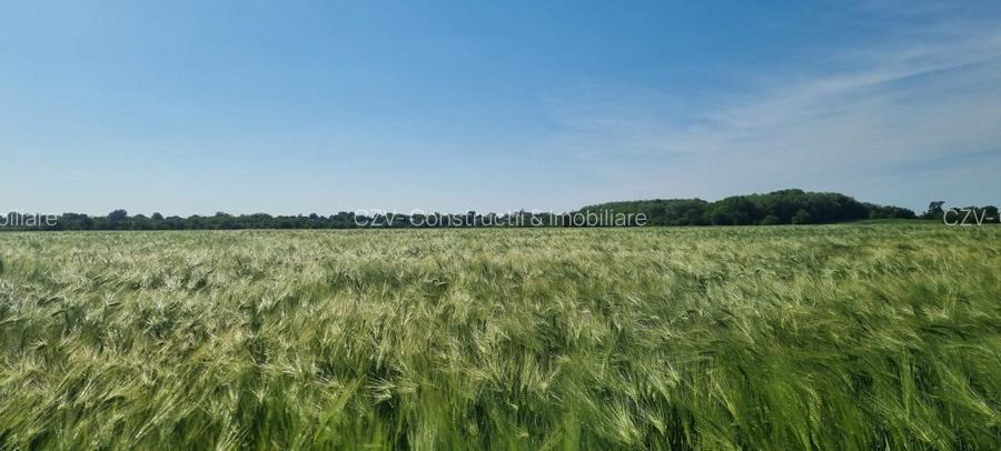 Ferma de Cultura Mare 1100 HA - 11