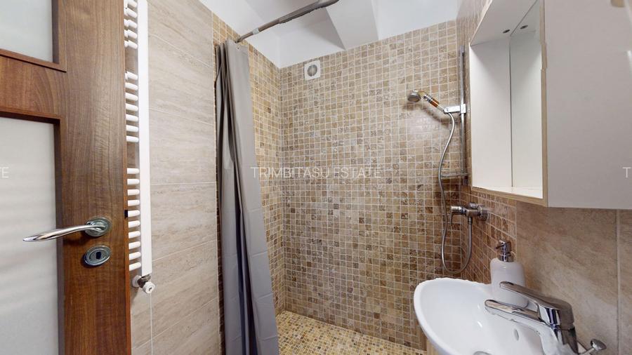 Apartament 4 camere + curte proprie Locatie excelenta – Brancoveanu - 48