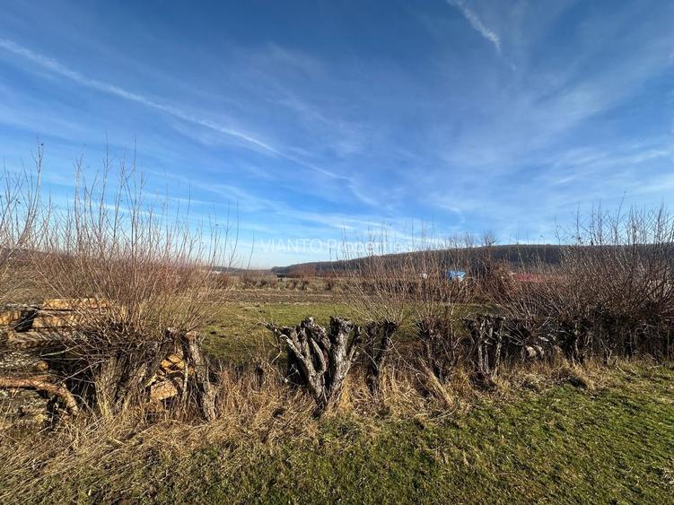 TEREN INTRAVILAN 1080 MP IN RASINARI - 6