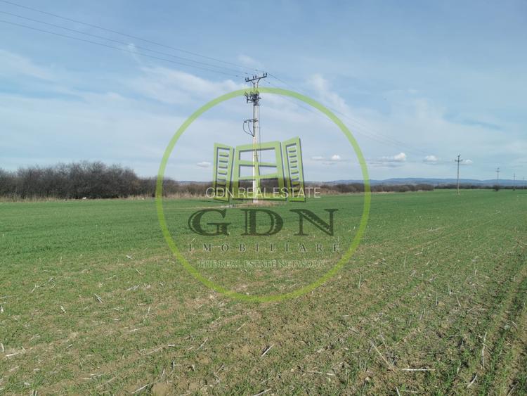 Teren extravilan de vanzare in Sacadat, 21.496 mp, cu deschidere de 42 m la E60. - 7